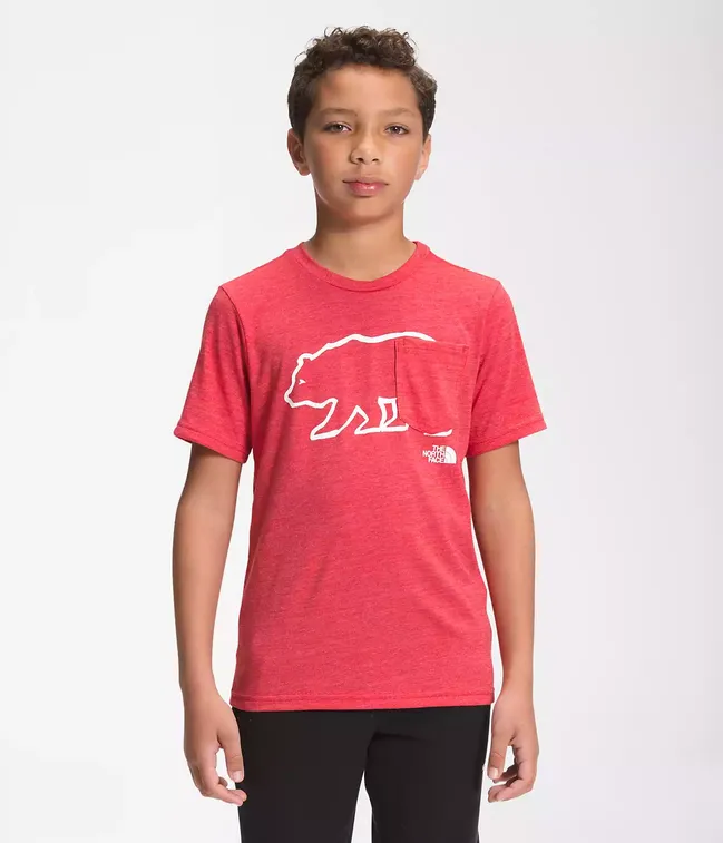 Boy's The North Face | Short Sleeve Tri-Blend Tee | TNF Red Heather