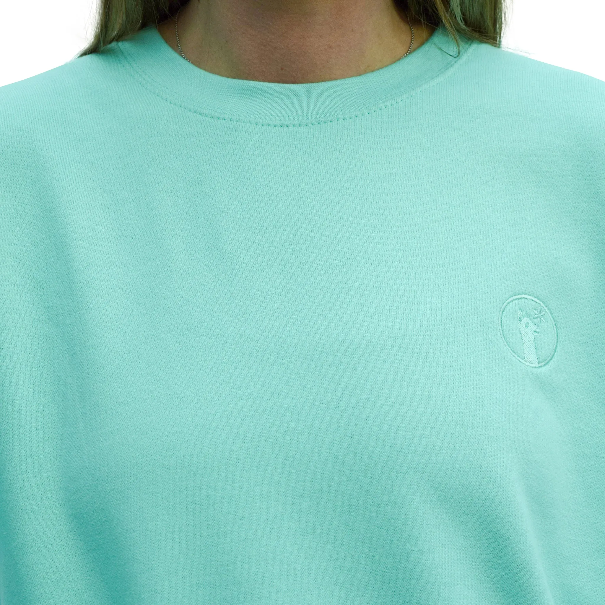 Magnificent Mint Llama Sweatshirt